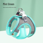 Helkurrihmade ja -rihmade komplekt koertele ja kassidele XXS, without rope, single chest harness piparm&uuml;ndiroheline v&auml;rv