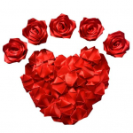 Yousheng 273 tk Valmis satiinpaelast roosi kroonlehed K&auml;sitsi valmistatud poolvalmis igavikulised roosi kroonlehed Isevalmistatavad igavikulised lillekimbud pulma-aastap&auml;evaks D