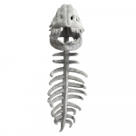 75/115CM Dinosauruskeletikost&uuml;&uuml;mi komplekt Riietus M&auml;nguasjad Peo Cosplay M&auml;nguasi Laps T&auml;iskasvanu Riietumine Loov Naljakas Kingitus 75CM Kid