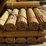 Lillad, Valged ja Heledad Bambusvardad Sise-/V&auml;listingimustes Dekoreerimiseks - Putukakindel & Korrosioonikindel, T&auml;iuslik Lipuvarrasteks ja Tantsutarvikuteks 3m Diameter 3-4cm White Bamboo