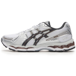 ASICS Gel Kayano 20 Valge Graafiithall Unisex Tossud 1203A759-104 43.5