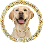 18K kullatud 316L roostevabast terasest paks koera kuuba kett Luksuslik tahke mustriga lemmiklooma koera kaelarihm rihm L&auml;&auml;ne klassikaline stiil (Silver,20cm) h&otilde;be