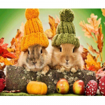 5D Teemantmaal T&auml;is&uuml;mmargused teemandid Vaigu Teemanttikandid J&auml;nese Looma Ikoon N&auml;put&ouml;&ouml; 20X30CM