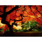 T&auml;ielikult &uuml;mmargune isetegemise teemanttikandid, v&auml;rviline mooruspuu 5D teemantmaaling kiviklibuga 20X30CM