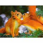 Teemantmaali orava kivikivikomplekt t&auml;ispuur, ruut Teemanttikandid Loom Mosaci talvine n&auml;put&ouml;&ouml; seinakunst Full Round 20X30CM punane