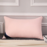 100% puuvillane Hilton Solid Color Home Pillow Manufacturers Direct Pillow 5star Hotel Pillow Core vaakumkompressioon pakend 48*74cm 1000g