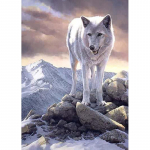 DIY Wolf 5D Teemantmaal t&auml;isring puur Loom Teemanttikandid Ristpistes Mosaiik Komplektid Vaigust seina kunst Kodukaunistus Full Round 20x30CM