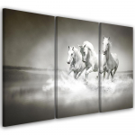 Kolmeosalise pildiga l&otilde;uenditr&uuml;kk Gallop of the white horses 60x40 valge