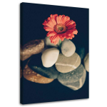 L&otilde;uenditr&uuml;kk Gerbera Flowers Stones 40x60 hall v&auml;rv