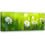 L&otilde;uenditr&uuml;kk Daisies Green Grass 90x30 roheline