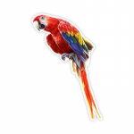 CS12033# Papagoi kleebis auto vin&uuml;&uuml;lkleebise veekindlal kaunistusauto kleebistel A-15cm-Longest Side