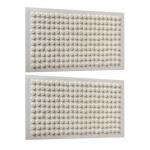 2 tk Faux Pearl kehakleebis, mitte tuhmuv meik, lame alus, ilus n&auml;gu keha kulmude kunstp&auml;rli kleebis naistele A