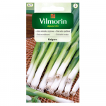 Kaigaro seitsmeaastane murulauk, seemned 2g - VILMORIN