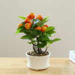 Kunstlikud simuleeritud puuviljad Bonsai kaunistused V&auml;rvilised v&otilde;ltsitud potitaimed kodu elutuppa