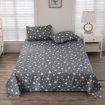 1 tk veekindel mati suur voodilina kusepidamatust ennetav kusep&otilde;ie voodikatte kate tolmukindel pestav 160x230cm