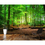 Roheline Metsa seinamaal Loodusmaastik 3D tapeet Elutuba Magamistuba Seinakatted Kodu kaunistus Seinamaal 200 cm(W) x 140 cm(H) green