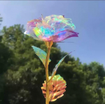 24K Gold Rose koos kinkekarbiga: Helendav kuldfooliumiga kullatud roos Hiina s&otilde;brap&auml;evaks null