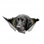 Isiklikud autokleebised 3D koera looma lemmiklooma kleebis veekindel pilkup&uuml;&uuml;dev katkise aknaga lemmiklooma kleebis