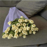 Roosi Lillekimp Tekk DIY Komplekt Piima Puuvillane L&otilde;ng K&auml;sitsi Kudumine Tekk Loov Kingitus Parimatele S&otilde;pradele Hubane Viske Tekk 100 x 100cm