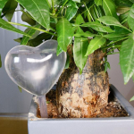 Automaatne tilkniisutuss&uuml;steem Automaatne kastmistaimed Lilled siseruumides aiandus Majapidamise plastikust kastmispudel kasvuhoone jaoks Love