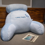 J&auml;&auml;siidist lateksist peatsipadi - Pehme nimmetugi padi, Eemaldatav ja pestav, Ideaalne &uuml;li&otilde;pilaste &uuml;hiselamu lugemiseks ja seljatoeks Medium: 60x40cm [removable, washable]