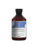 Tasakaalustav &scaron;ampoon 250ml