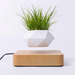 Magnetiline levitatsiooniline lillepott kodu kaunistamiseks - Loov ujuv bonsaipott GW4 Light Wood Grain (No Plant) white