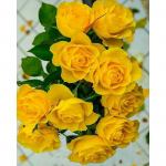 5D teemantmaal Lillekollased roosid Ristpistes teemanttikandid 20X30CM