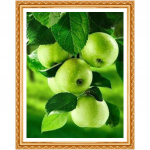 Teemantmaaling Puuviljad &Otilde;unad Teemanttikandid Muster Rhinestones Teemantkomplekti sisustus 20X30CM