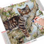 5D teemantmaal Mosaic Cat Full Square Drill Animal Diamond Tikand 30x30CM
