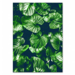 5D isetehtud teemantmaal Rohelised taimed Ristpistekomplekt T&auml;isruudukujuline tikandid Mosaiik Art Pilt kividest Kodukaunistuse Kingitus Full Round 20x30CM