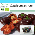 SAFLAX - Kinkekomplekt - Orgaaniline - Magus pipar - Magus &scaron;okolaad - 10 seemet - Koos kinkekarbi, kaardi, etiketi ja potisubstraadiga - Capsicum annuum