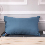 100% puuvillane Hilton Solid Color Home Pillow Manufacturers Direct Pillow 5star Hotel Pillow Core vaakumkompressioon pakend 48*74cm 1000g