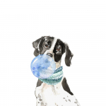 Prillid Koerad Loomad Valge taust L&otilde;bus mood Moodne Sein Kunst L&otilde;uend Plakat Pop Akvarell Graffiti Prindid Seinamaaling Elutuba Lastele Kingitused Kodukaunistus 20x30cm No Frame valge