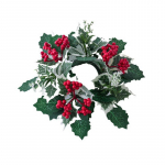Uusaasta kaunistused keskosa taimed p&auml;rg k&uuml;&uuml;nlajalg p&auml;rg k&uuml;&uuml;nlahoidja j&otilde;ulud j&otilde;ulud roheline