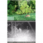 V&auml;liskaamera V&auml;likaamera veekindel &ouml;&ouml;n&auml;gemisega K&otilde;rglahutusega pikslite jahi infrapunatuled 4K 20 MP kaamera