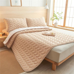 Veekindel kattemadrats Antibakteriaalne ja lestakindel voodimatt libisemiskindel madratsikate Veekindlad paksud tepitud voodikatted(Padjap&uuml;&uuml;rid puuduvad ) 90x200cm(35.43x78.7inch)