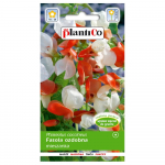 Dekoratiivoad, juurviljaseemned 10g aia jaoks