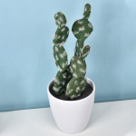 1 tk mini v&otilde;ltstaimed ilma potitaimeta Kodukaunistused Plastikust kaktus kunstlill armas