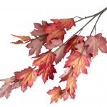 Kunstlik vahtralehe erksav&auml;rviline simulatsioonitaim Peen realistlik vahtraleht kodupeo kaunistamiseks t&auml;iskasvanutele m&otilde;eldud seksir&otilde;ivasteks roosa punane v&auml;rv