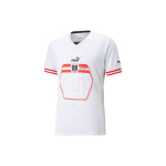 Puma Austria V&otilde;&otilde;rsil Jalgpallis&auml;rk Meeste s&auml;rgid Valge 766017-02 XL