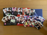 [USED] Stray Kids Ordinary album, trading cards white
