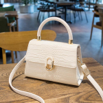 Naiste kott Uus Crossbody kott K&auml;eshoitav v&auml;ike kandiline kott Moodne &otilde;lakott 24x8x14cm valge
