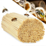 600 X Pesakasti torukestikut wild bees'i jaoks, 6 ja 8 mm l&auml;bim&otilde;&otilde;duga, Veekindlad, Pikaealised, Pesakasti abi, Tarvikud, T&auml;itematerjal putukahotelli jaoks