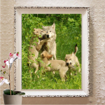 5D Teemanttikandid Teemanttikandid Maalimine Mosaiik Kingitus Teemant seinakaunistus Full Round 20X30CM