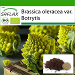 SAFLAX - Orgaaniline - Lillkapsas - Romanesco - 50 seemet - Potisubstraadiga paremaks kasvatamiseks - Brassica oleracea