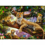 Teemanttikandid loomad 5D DIY Teemantmaaling Leopardipildid kividest mosaiikkaunistused koduks Full Round 20x30CM