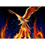 5D DIY Teemantmaali Loomade Rhinestone Kingitus T&auml;ielik teemanttikandid Phoenixi mosaiikkunst Pilt Ristpistekomplekt Kodukaunistus Full Round 20x30CM