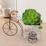 Lillepoti istutusmasin Loominguline bonsai puidust kast &otilde;ueaeda siseruumides White