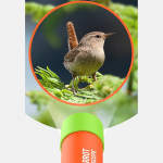 Sisset&otilde;mmatav teleskoop k&auml;sitsi monokulaarne teleskoop kerge laste teleskoop v&auml;ljas matkamine telkimine teleskoop laste kingitused